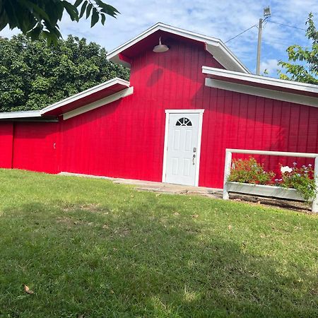 홈스테드 Maria'S Tiny Barn 게스트하우스 외부 사진